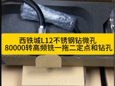 西铁城L12不锈钢钻微孔80000转高频铣一拖二定点和钻孔