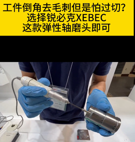 锐必克弹性研磨头