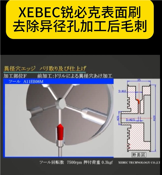 锐必克陶瓷研磨刷