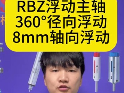 带双向浮动的RBZ浮动主轴