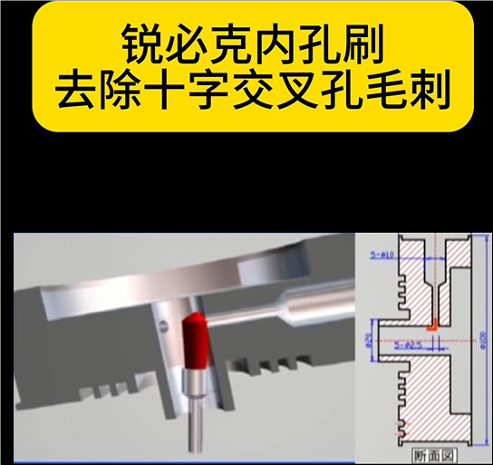 锐必克内孔刷